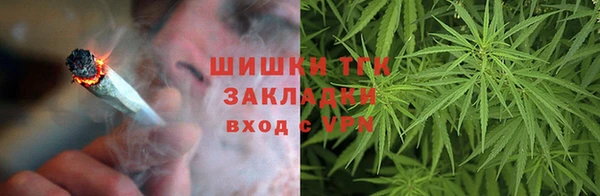 МДПВ Вяземский