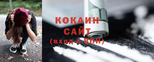 МДПВ Вяземский