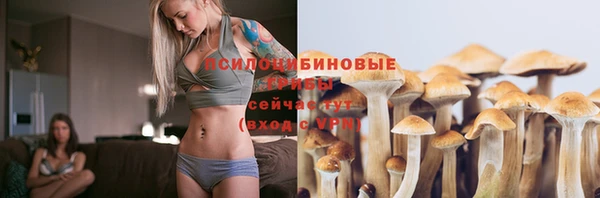 ешки Вязники