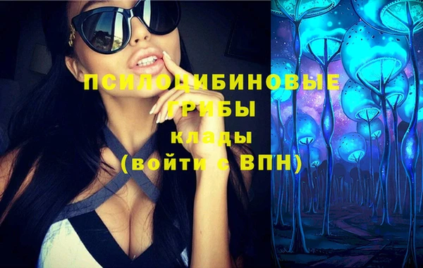 ешки Вязники