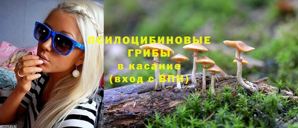 ешки Вязники