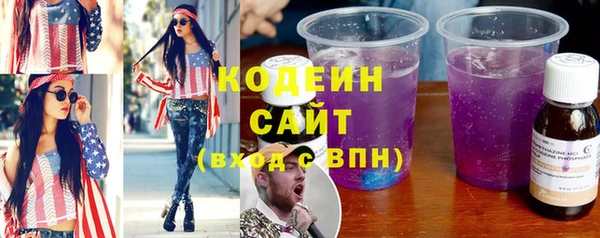 МДПВ Вяземский