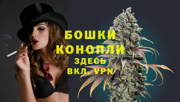МДПВ Вяземский