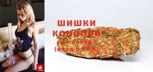 МДПВ Вяземский